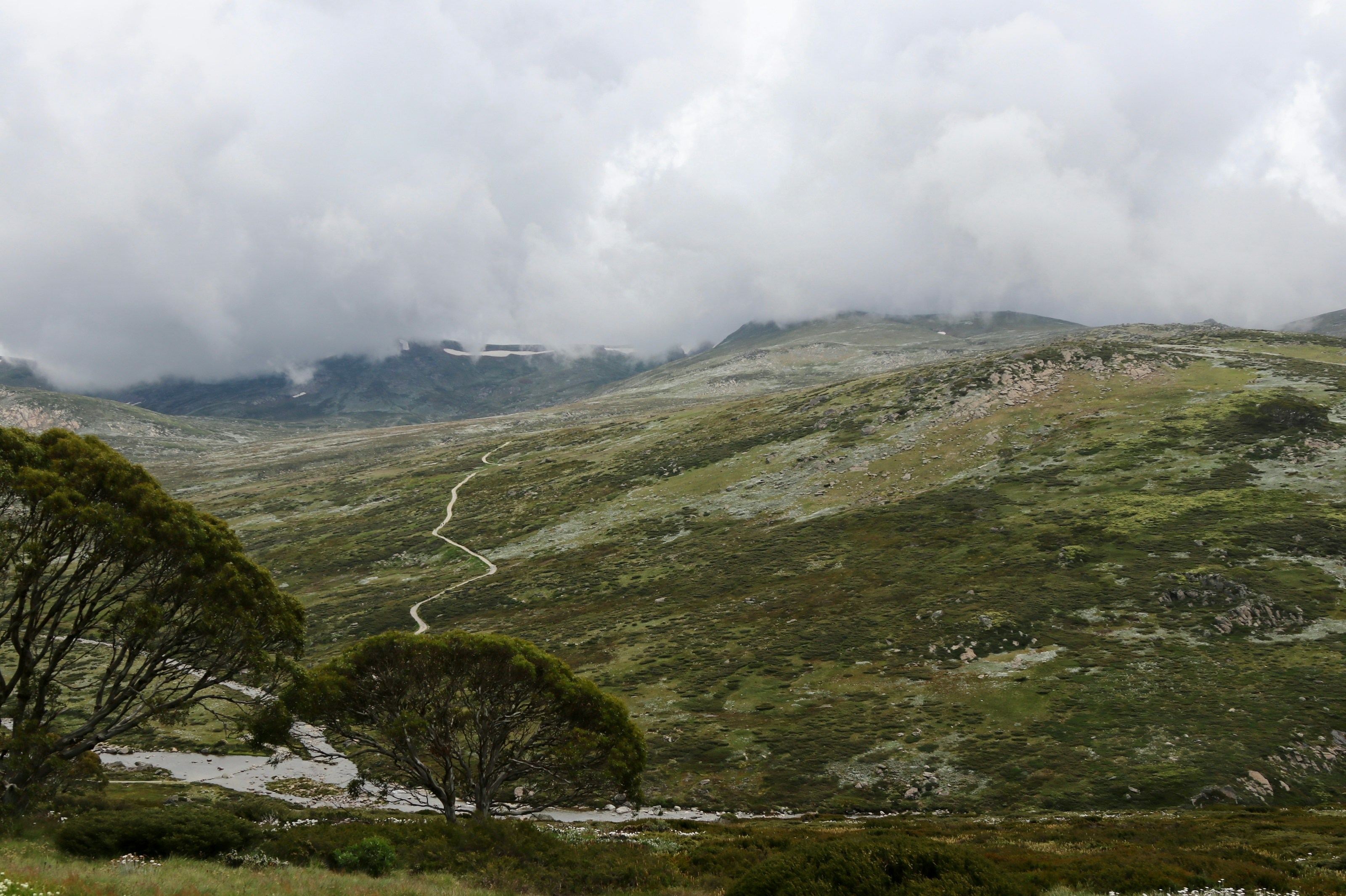 Alpine high country